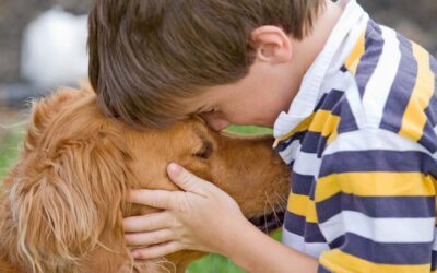 Kutyahamvasztás és a nagy beszélgetés a gyerkőccel